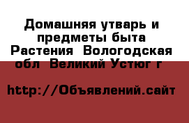 Домашняя утварь и предметы быта Растения. Вологодская обл.,Великий Устюг г.